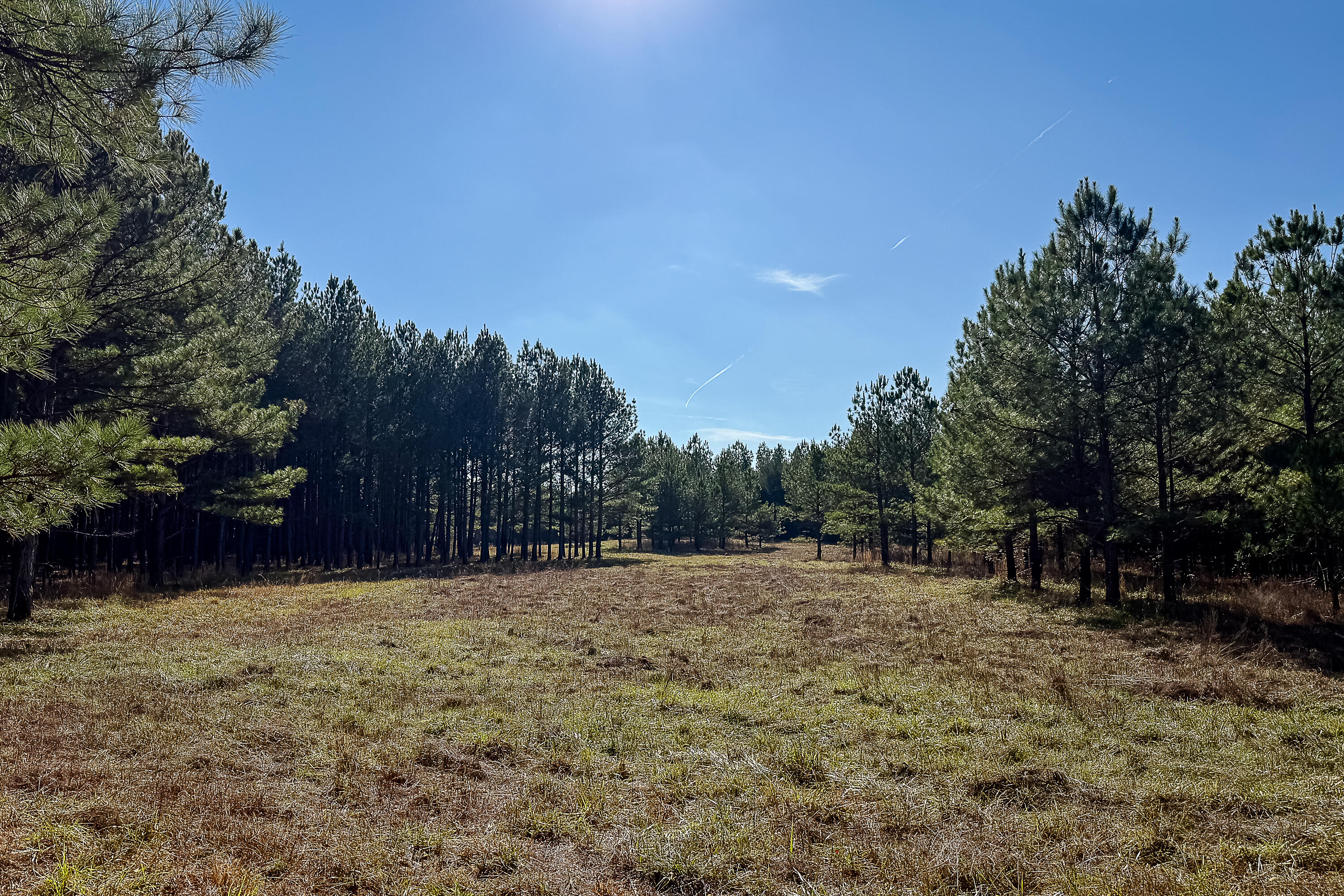 0 Leeds Road Carlisle, SC 29031 - Photo 12 of 29 Compass South Land Sales South Carolina