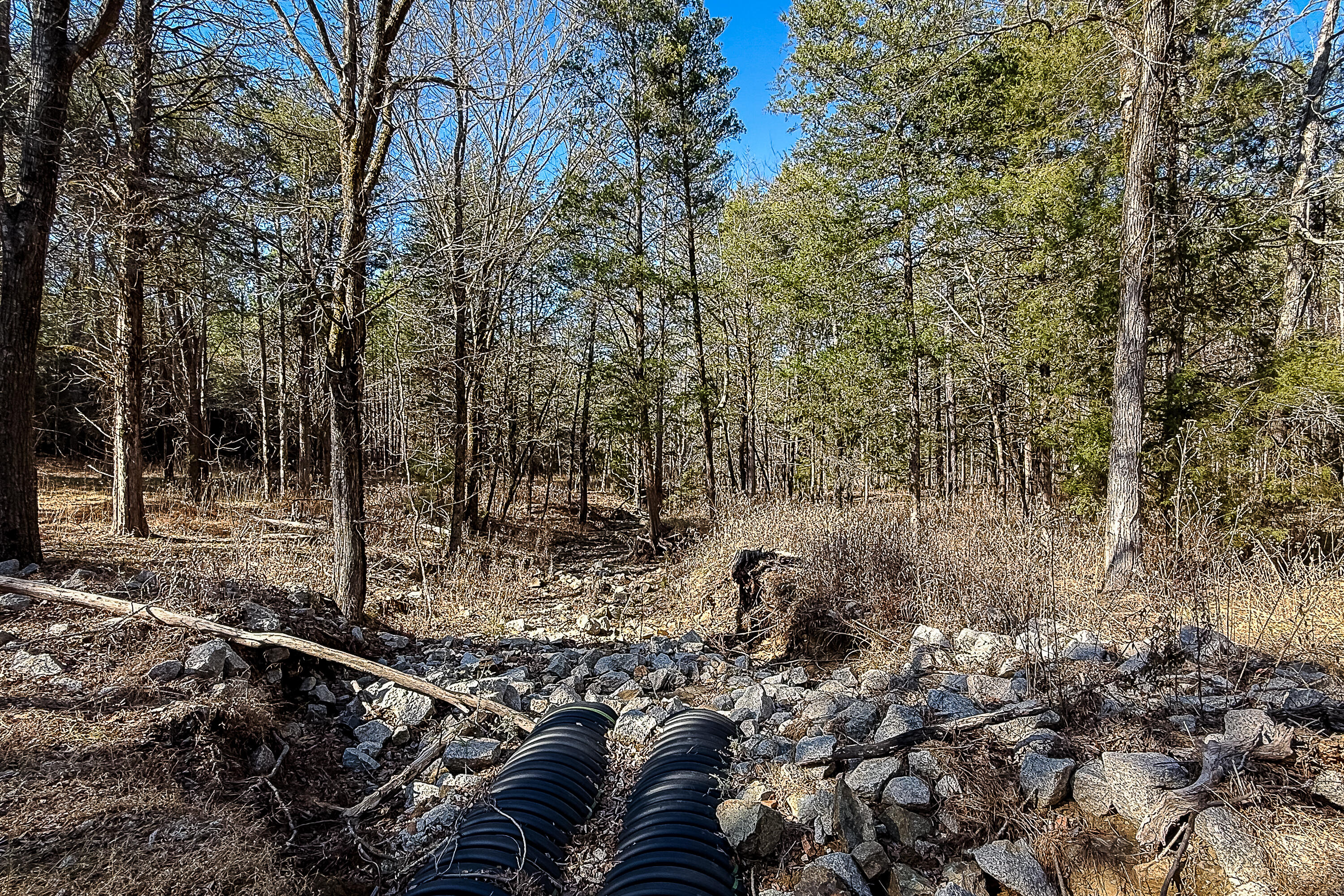 0 Leeds Road Carlisle, SC 29031 - Photo 14 of 29 Compass South Land Sales South Carolina