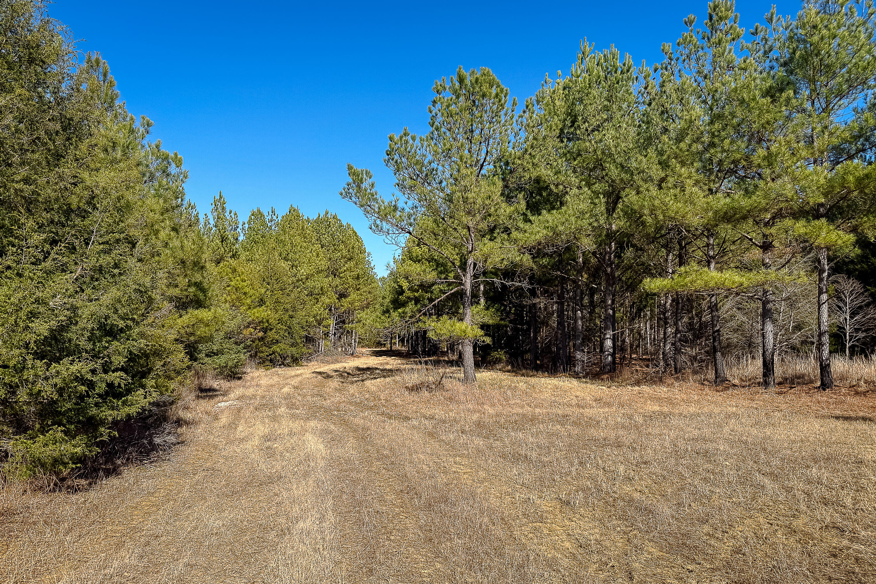 0 Leeds Road Carlisle, SC 29031 - Photo 17 of 29 Compass South Land Sales South Carolina