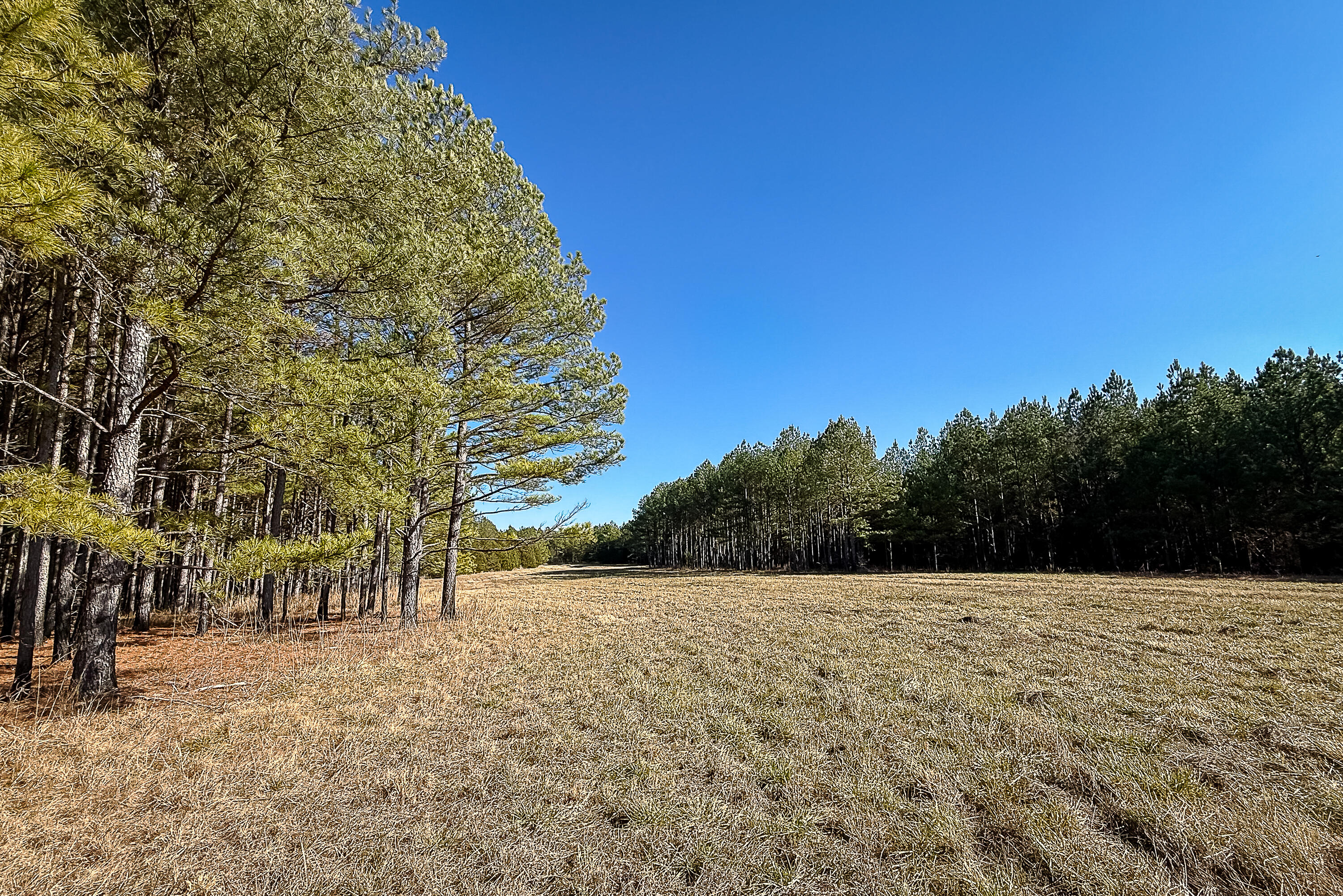 0 Leeds Road Carlisle, SC 29031 - Photo 18 of 29 Compass South Land Sales South Carolina
