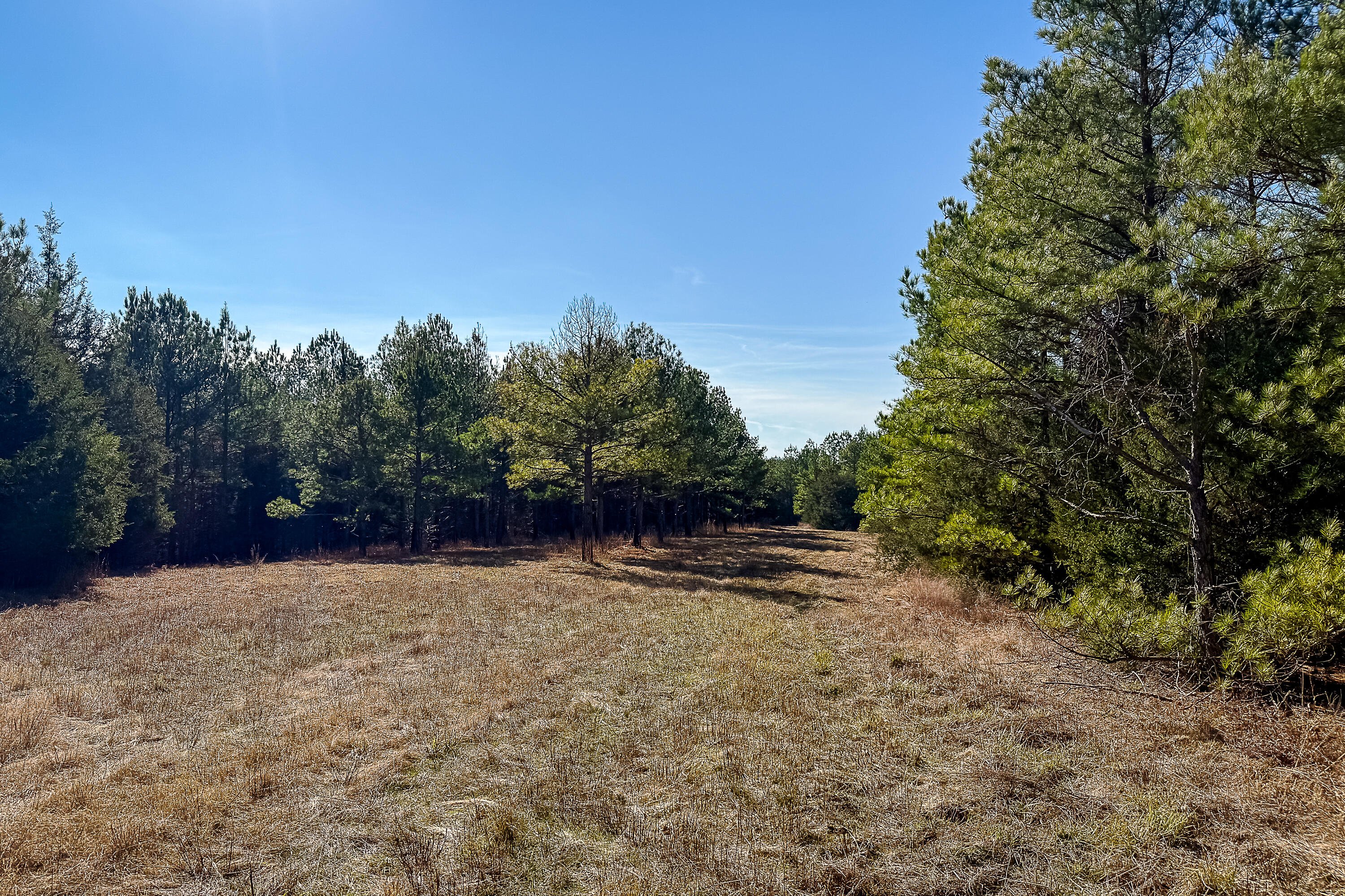 0 Leeds Road Carlisle, SC 29031 - Photo 19 of 29 Compass South Land Sales South Carolina