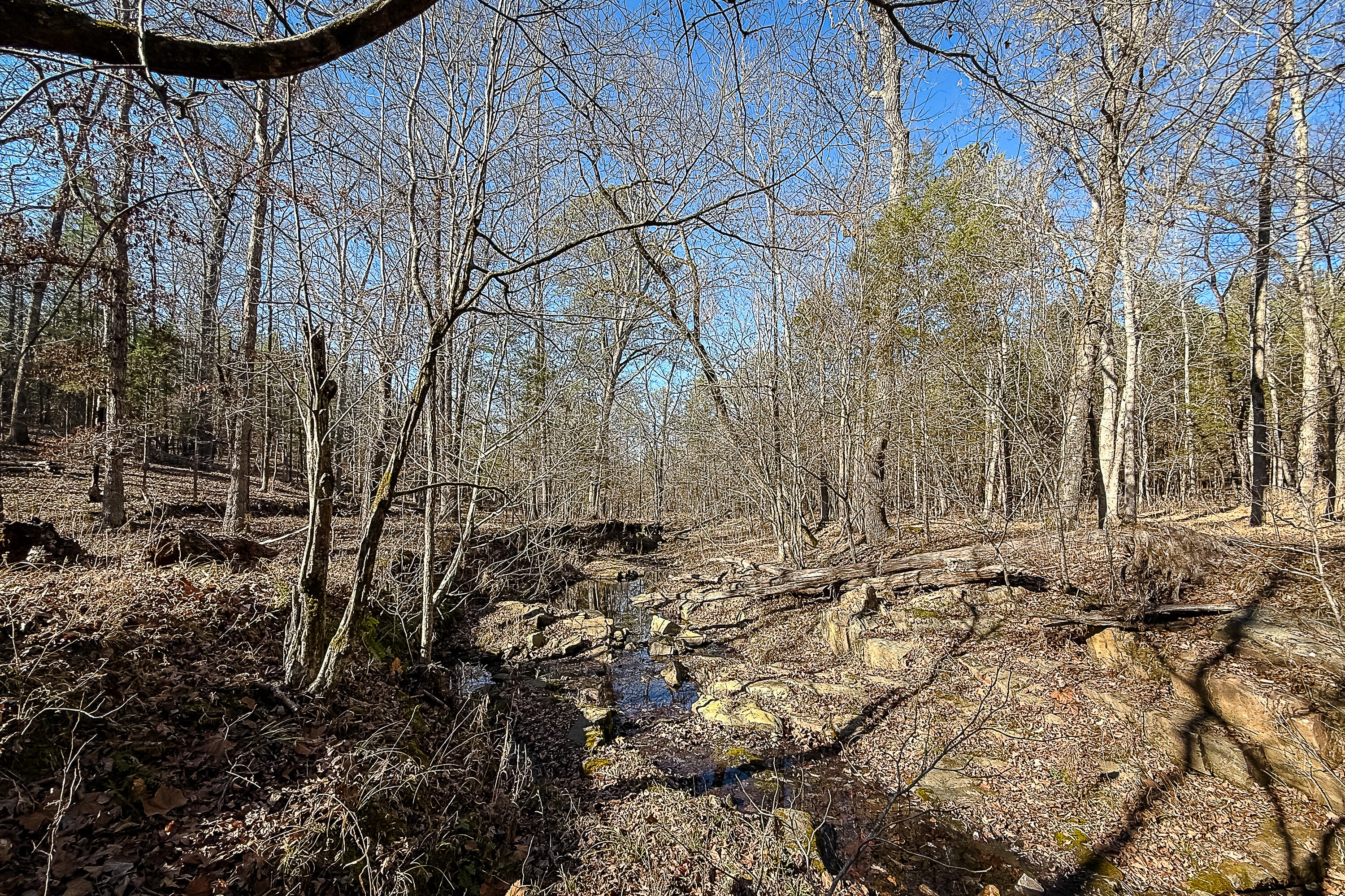 0 Leeds Road Carlisle, SC 29031 - Photo 25 of 29 Compass South Land Sales South Carolina
