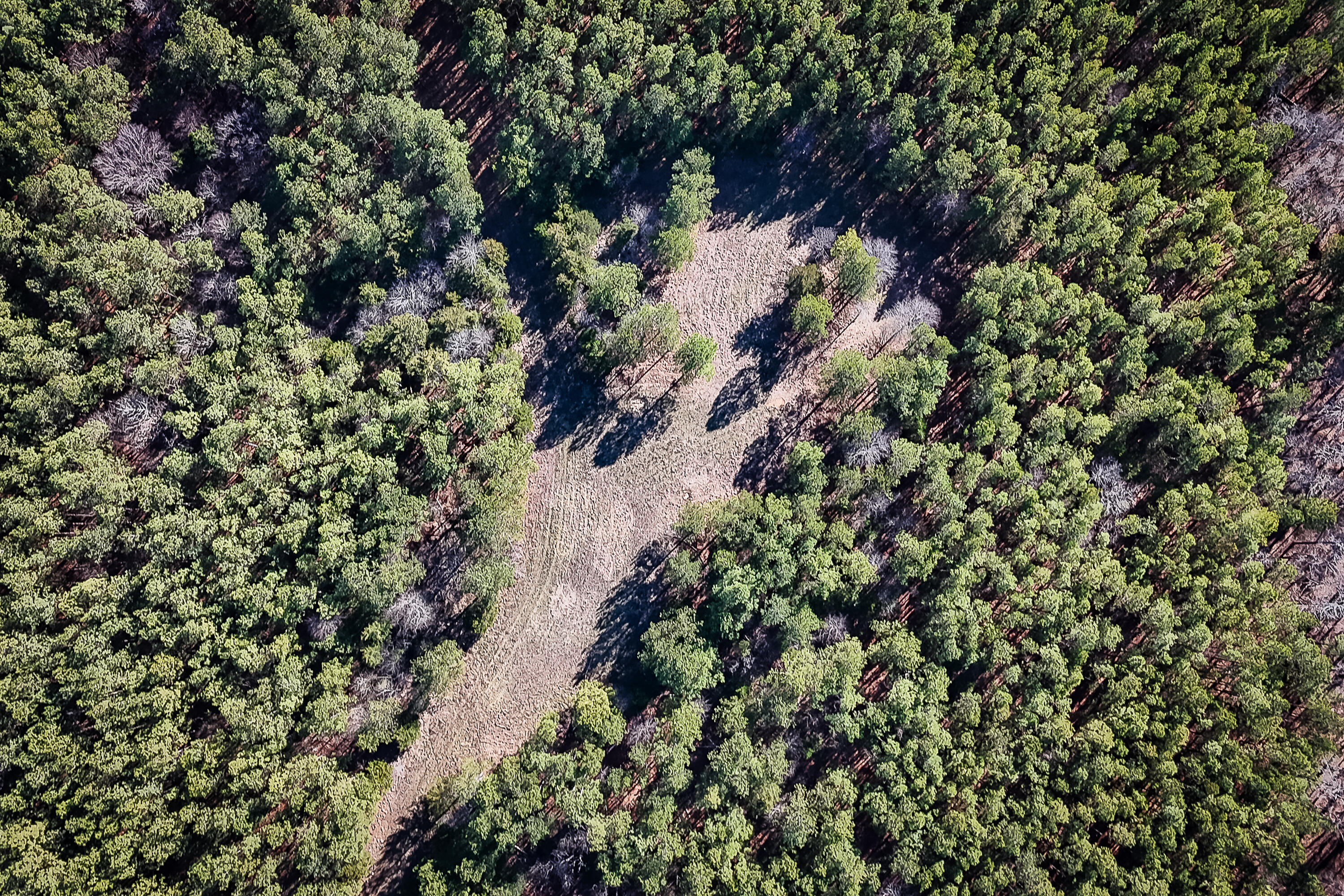 0 Leeds Road Carlisle, SC 29031 - Photo 28 of 29 Compass South Land Sales South Carolina