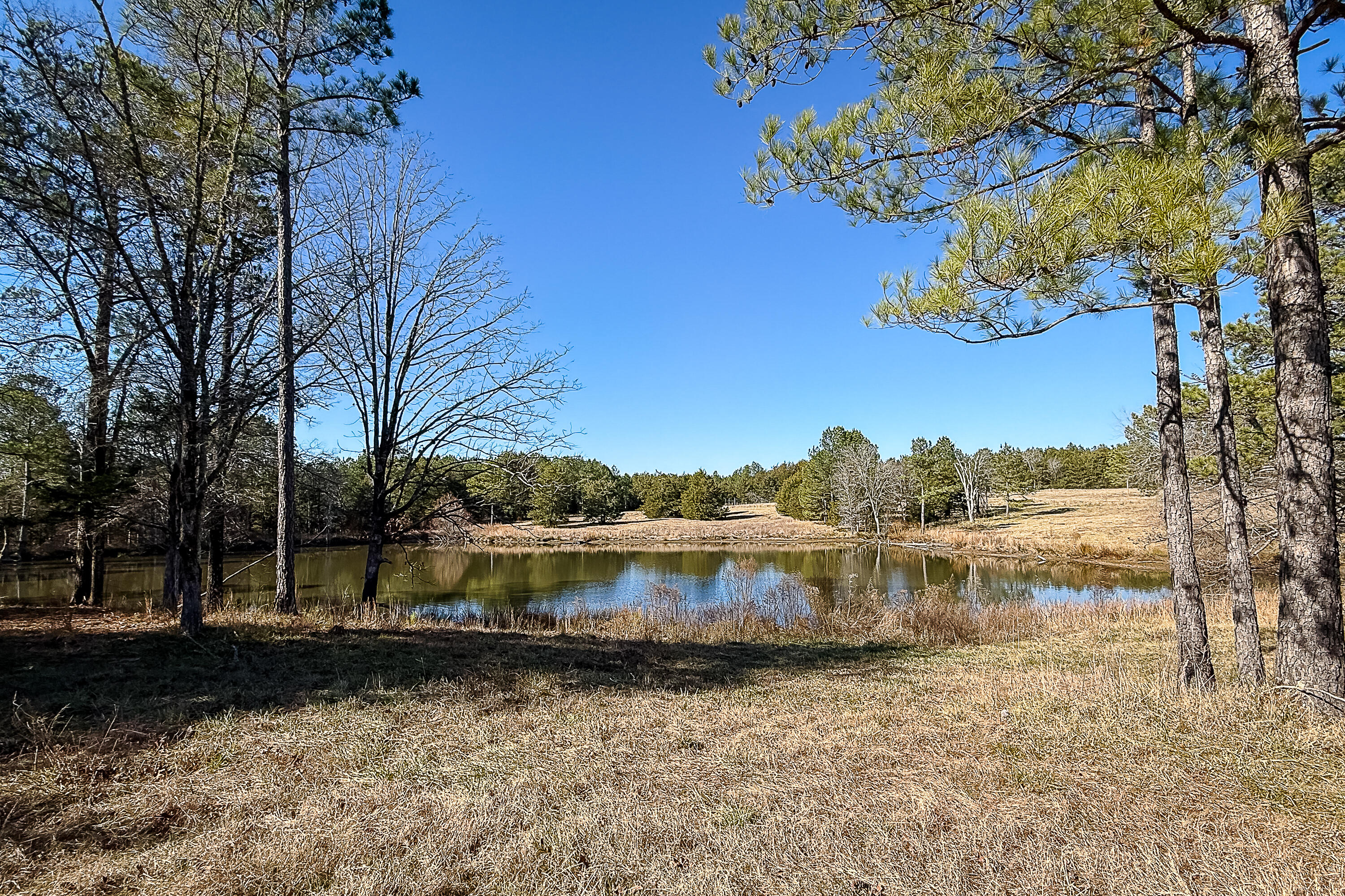 0 Leeds Road Carlisle, SC 29031 - Photo 3 of 29 Compass South Land Sales South Carolina