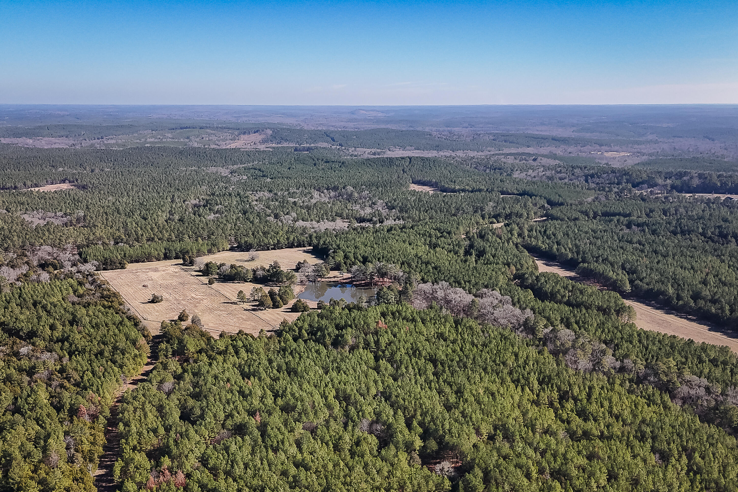 0 Leeds Road Carlisle, SC 29031 - Photo 6 of 29 Compass South Land Sales South Carolina