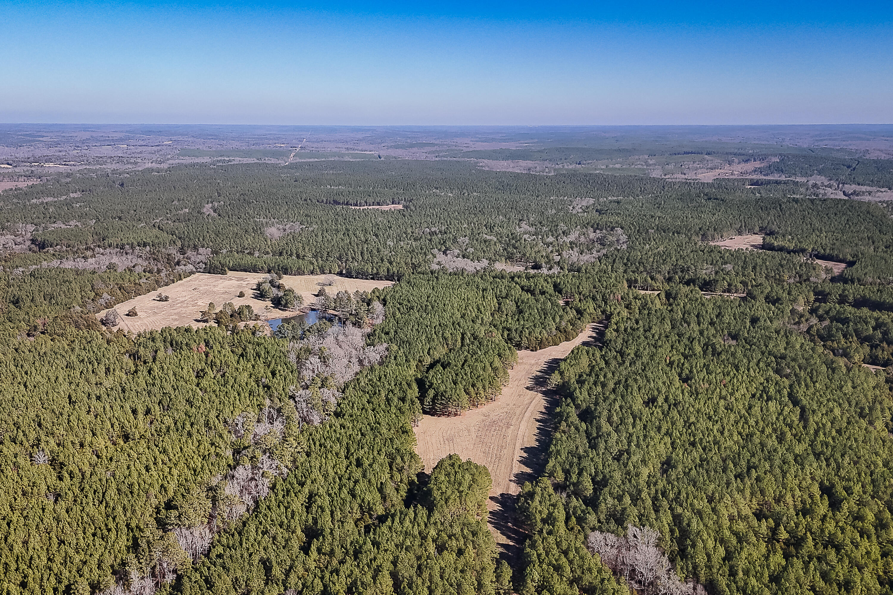 0 Leeds Road Carlisle, SC 29031 - Photo 8 of 29 Compass South Land Sales South Carolina