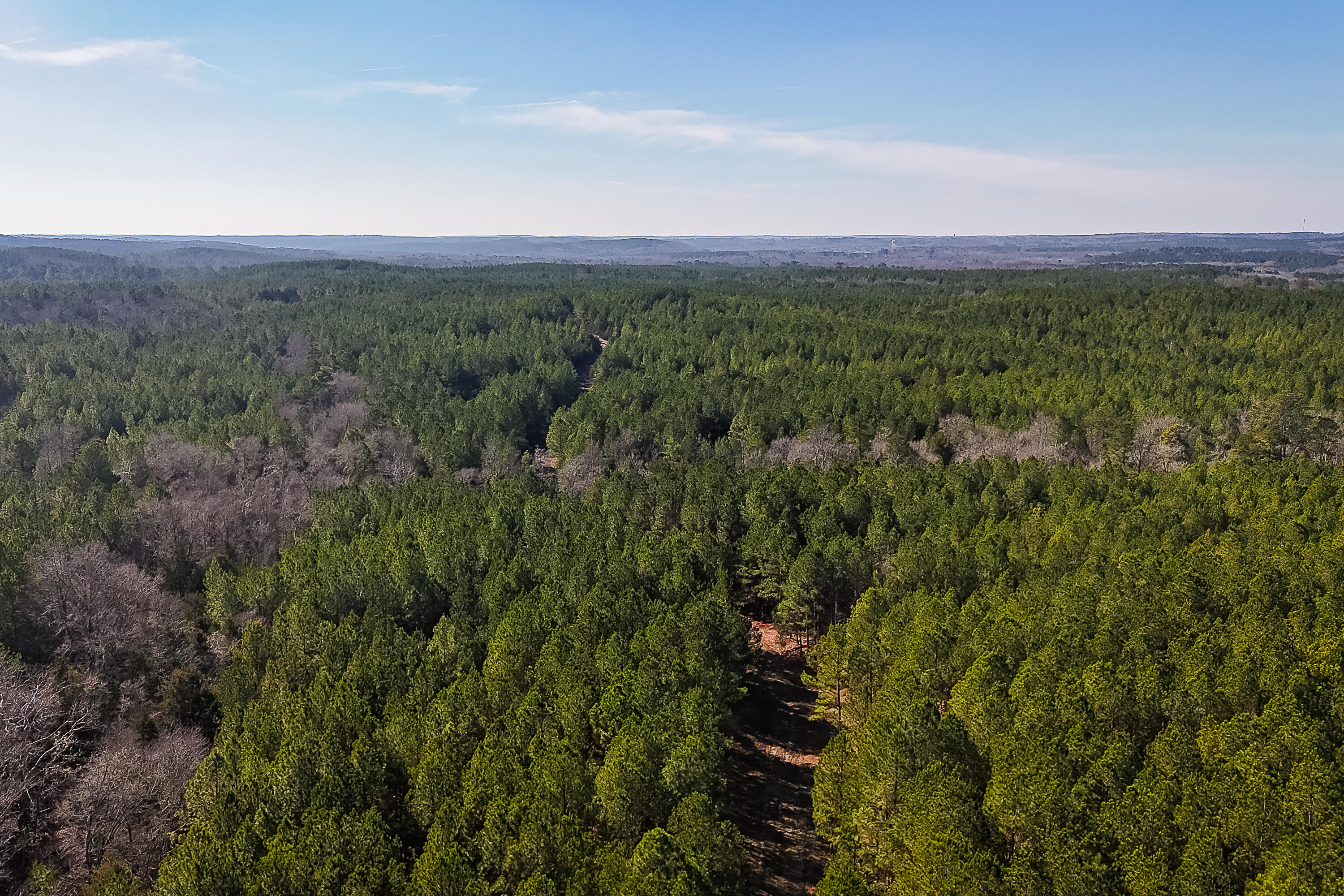 0 Leeds Road Carlisle, SC 29031 - Photo 9 of 29 Compass South Land Sales South Carolina