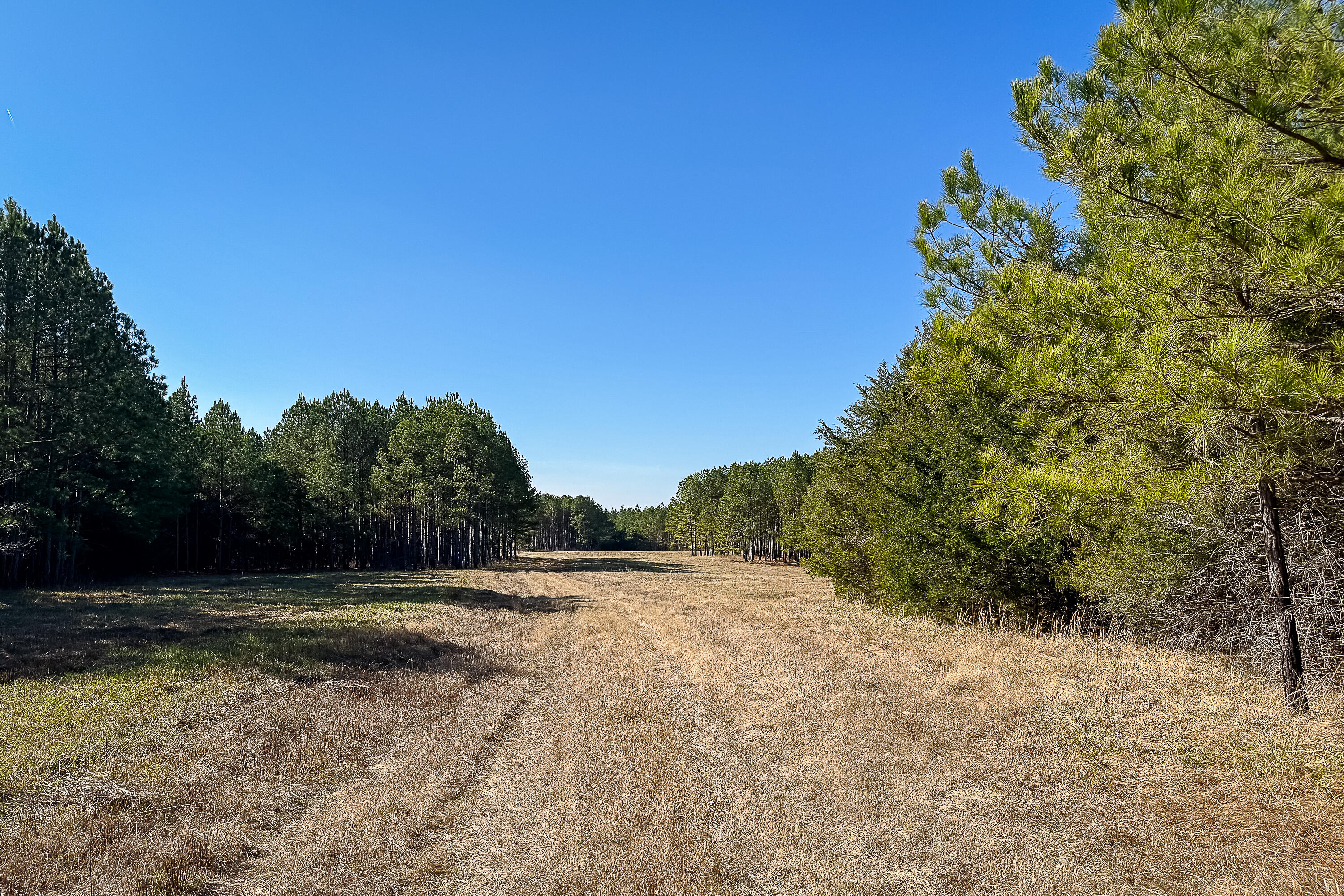 0 Leeds Road Carlisle, SC 29031 - Photo 10 of 29 Compass South Land Sales South Carolina