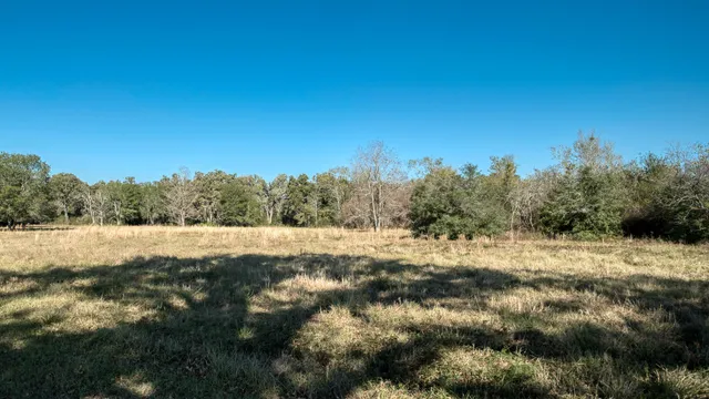 a backyard of a house with lots of trees