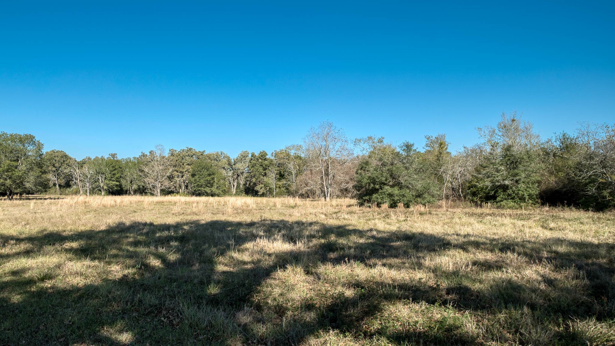 40934 Thomas Lane Hempstead, TX 77445 - Photo 34 of 50 a view of lake view and mountain view