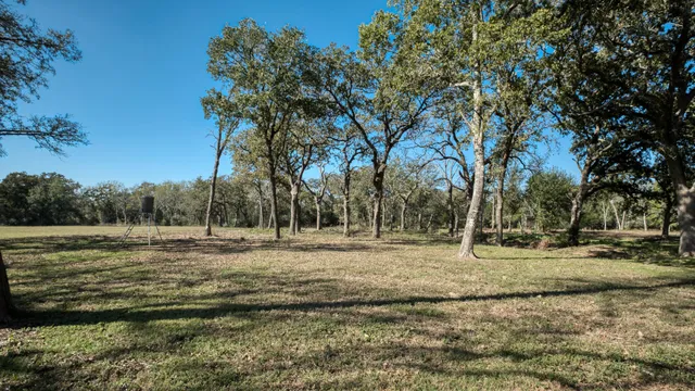 an aerial view of a forest with a yard