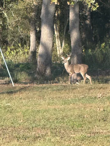 $1,400,000 | 40934 Thomas Lane, Hempstead, TX 77445