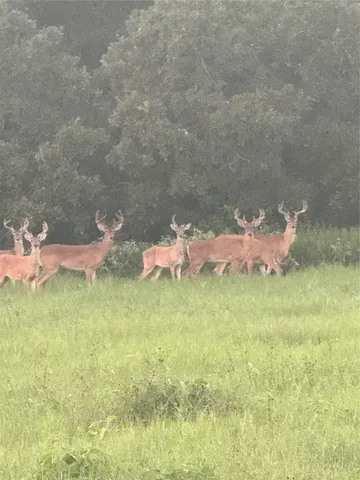 $1,400,000 | 40934 Thomas Lane, Hempstead, TX 77445