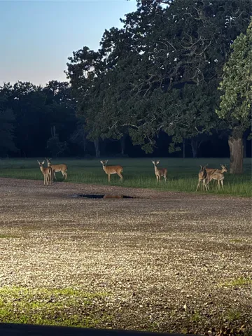 $1,400,000 | 40934 Thomas Lane, Hempstead, TX 77445