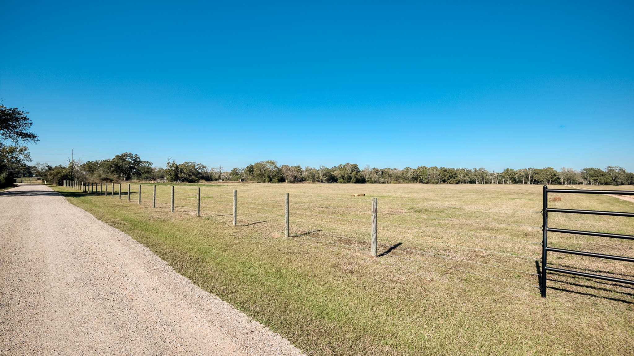 40934 Thomas Lane Hempstead, TX 77445 - Photo 6 of 50 a view of a lake with a yard