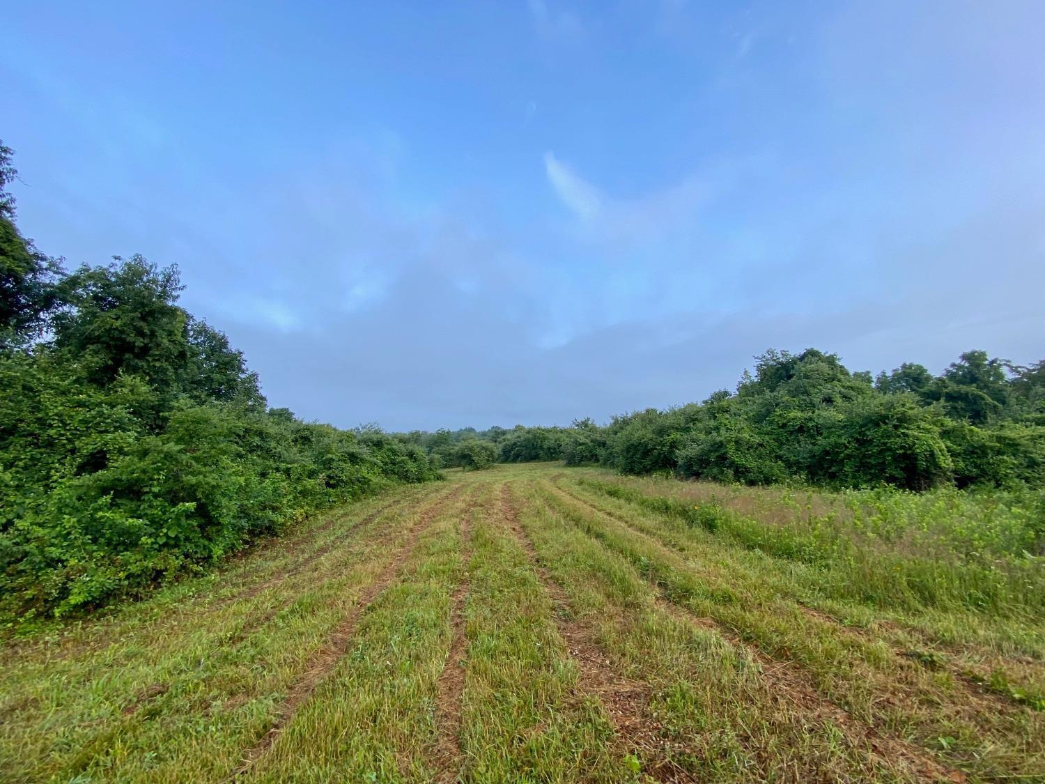 Acre Brier Ridge Road West Union, OH 45693 - Photo 19 of 27