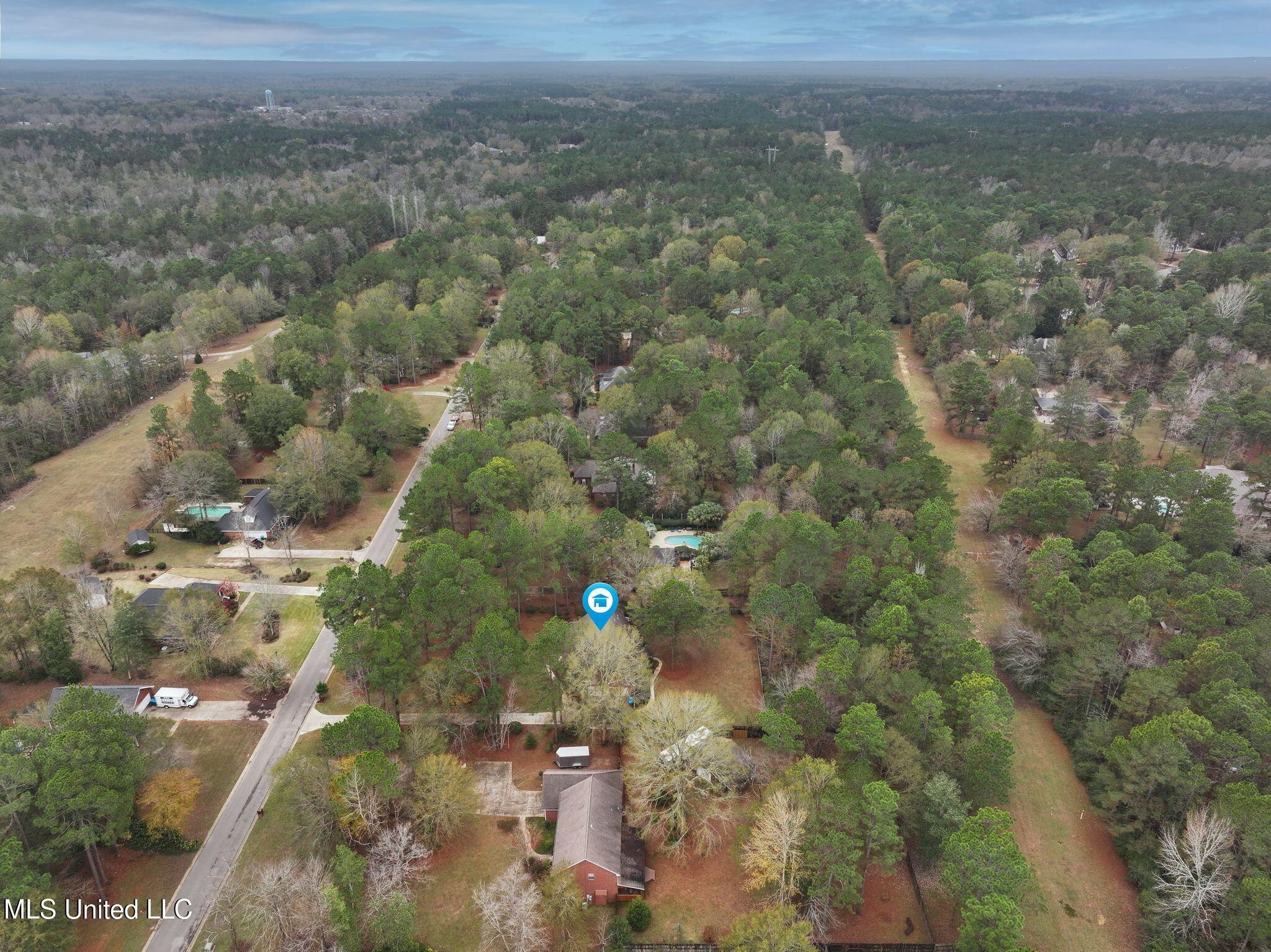 101 Sweet Bay Trail Petal, MS 39465 - Photo 45 of 47 Areal View 1