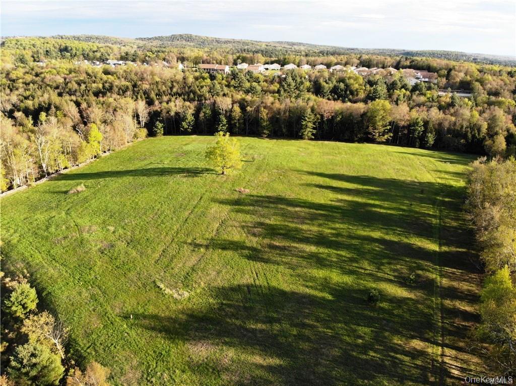 0 Benmosche Road Monticello, NY 12701 - Photo 2 of 19 Gallery Image 2