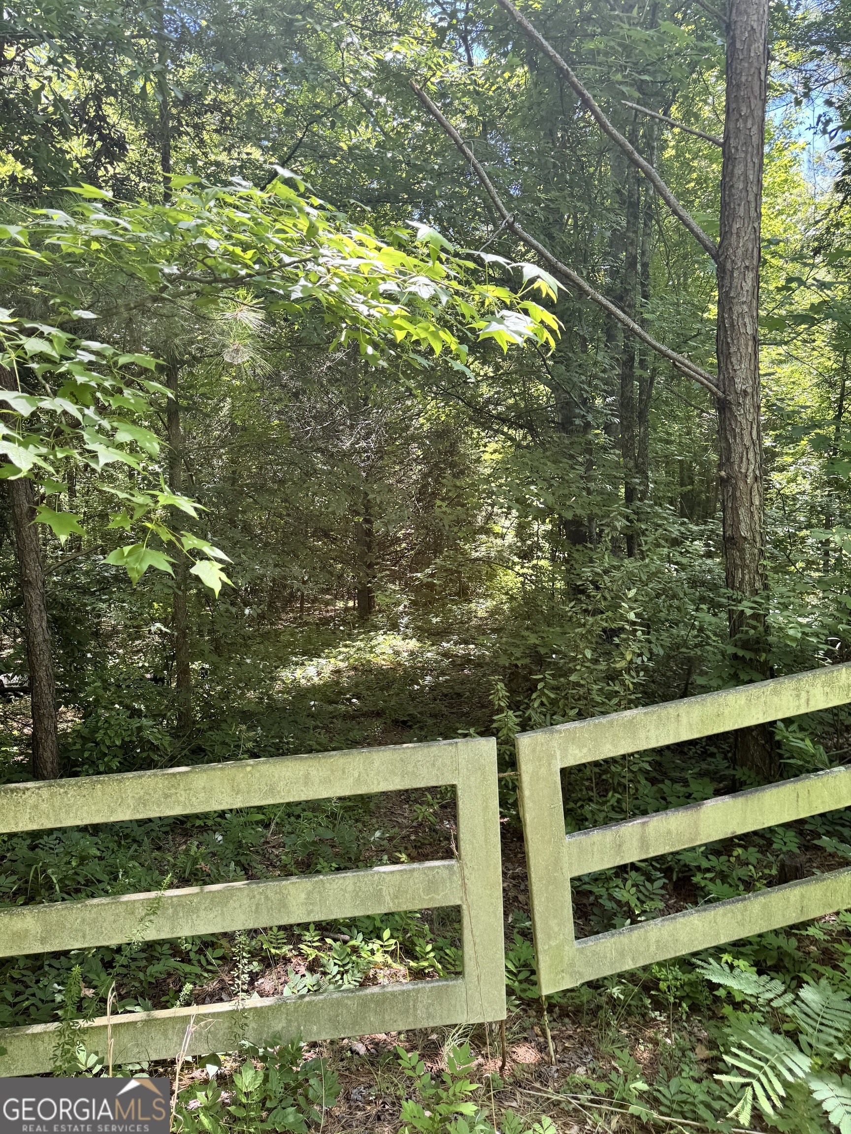 2883 Highway 441 Commerce, GA 30529 - Photo 10 of 12 a view of a yard with large trees