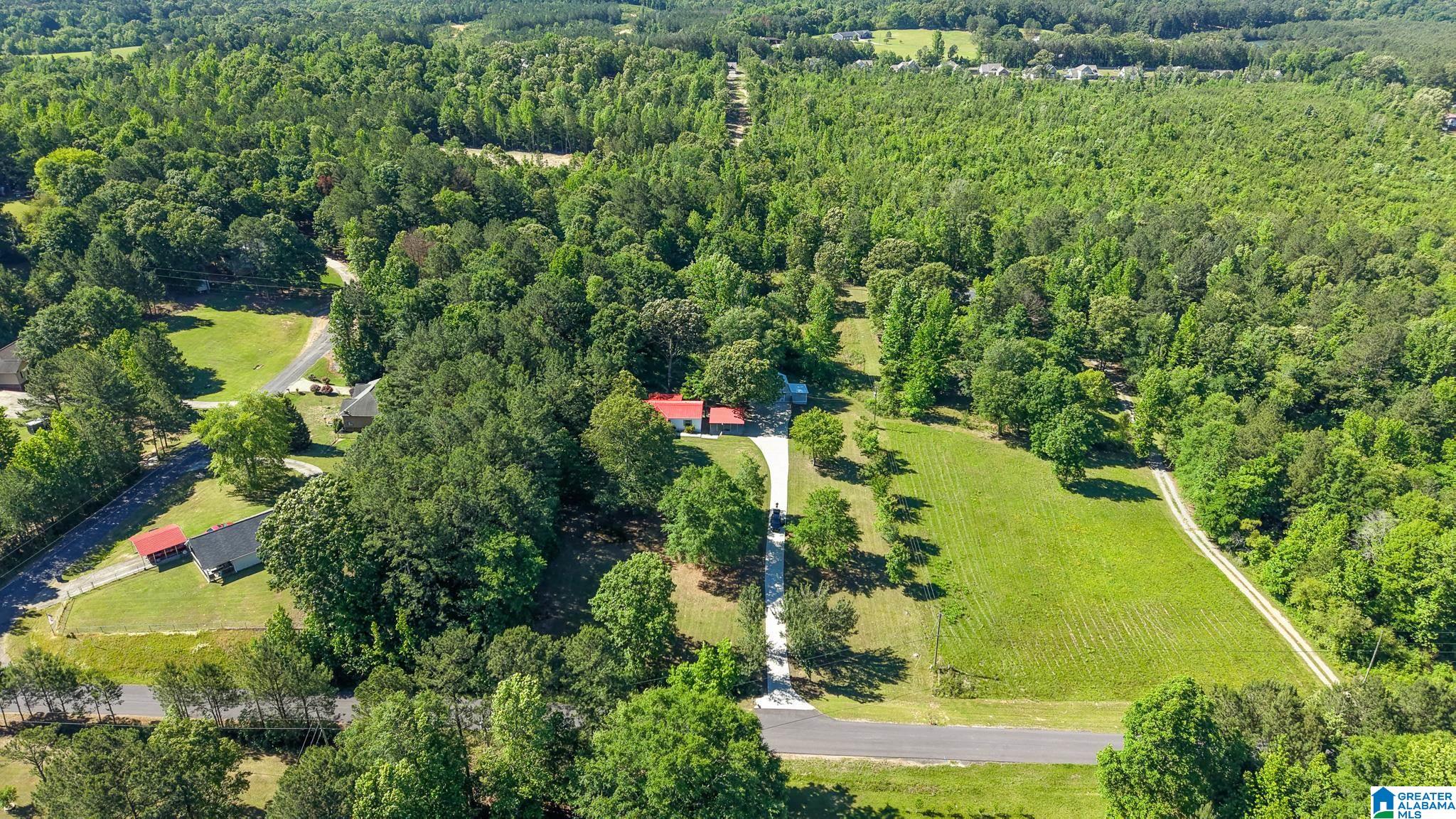 242 Deerfield Road Pell City, AL 35125 - Photo 39 of 41