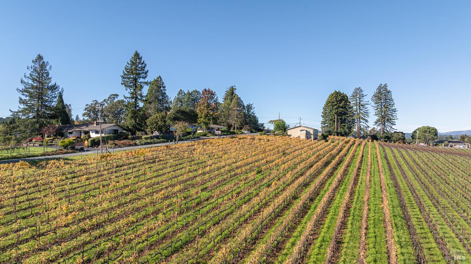 1365 Grandview Road Sebastopol, CA 95472 - Photo 74 of 74