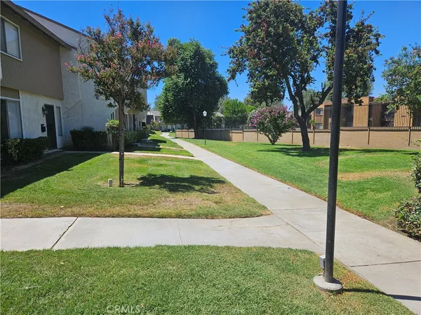a view of a park with tree s