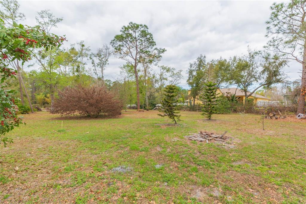 4772 Drexel Road Land O' Lakes, FL 34638 - Photo 4 of 19 Gallery Image 4