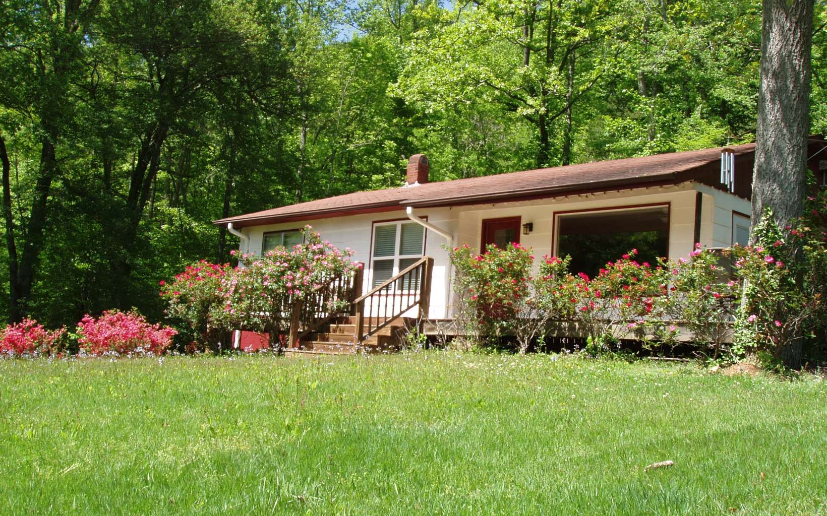 3684 Fodder Creek Road Hiawassee, GA 30546 - Photo 1 of 1 Main View