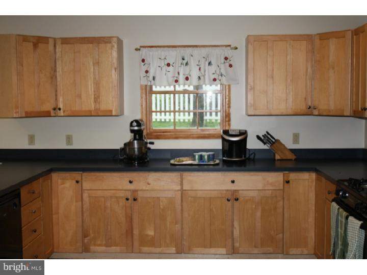 417 Heatherwood Road Havertown, PA 19083 - Photo 8 of 23 Kitchen