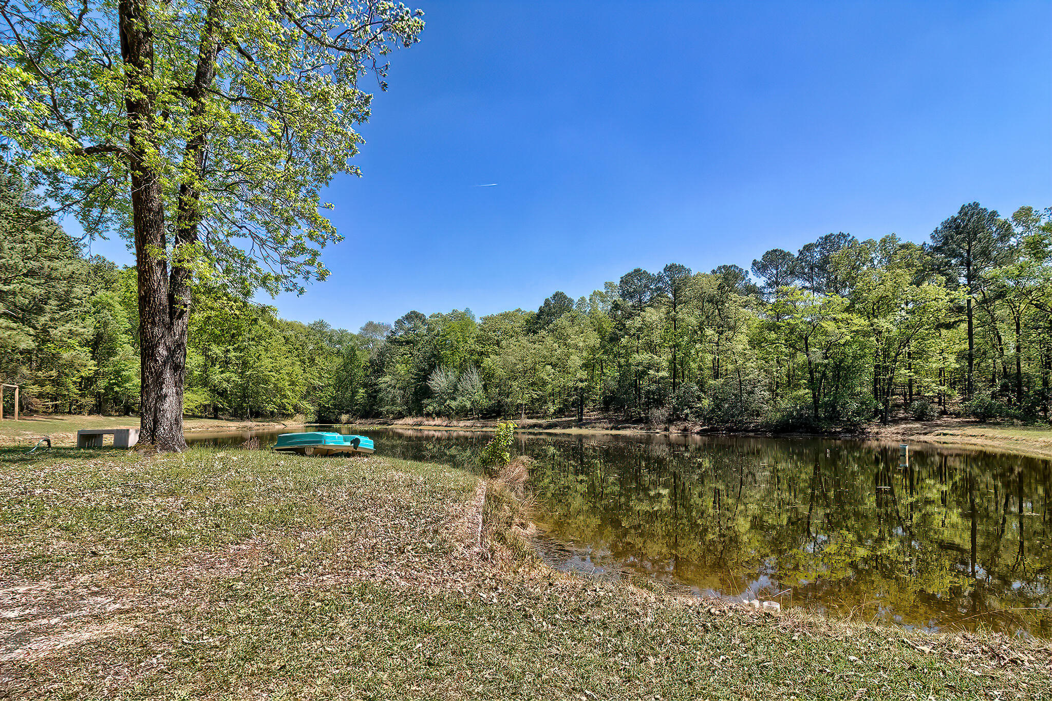 5404 Fairview Road Leesville, SC 29070 - Photo 3 of 36