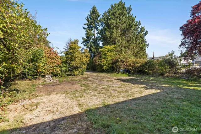 a view of a yard with an trees