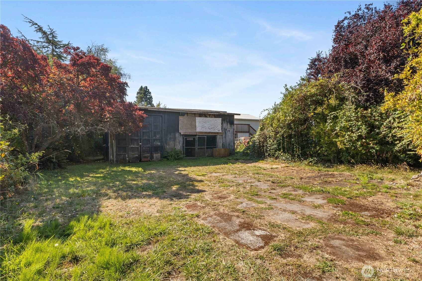 111 4th Avenue Southwest Pacific, WA 98047 - Photo 18 of 19 a backyard of a house with lots of green space