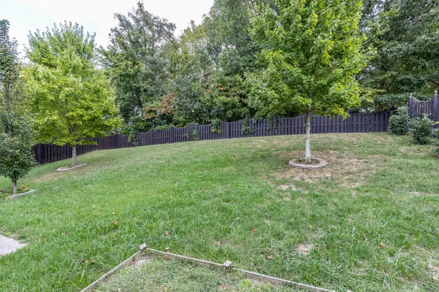 a backyard of a house with lots of green space