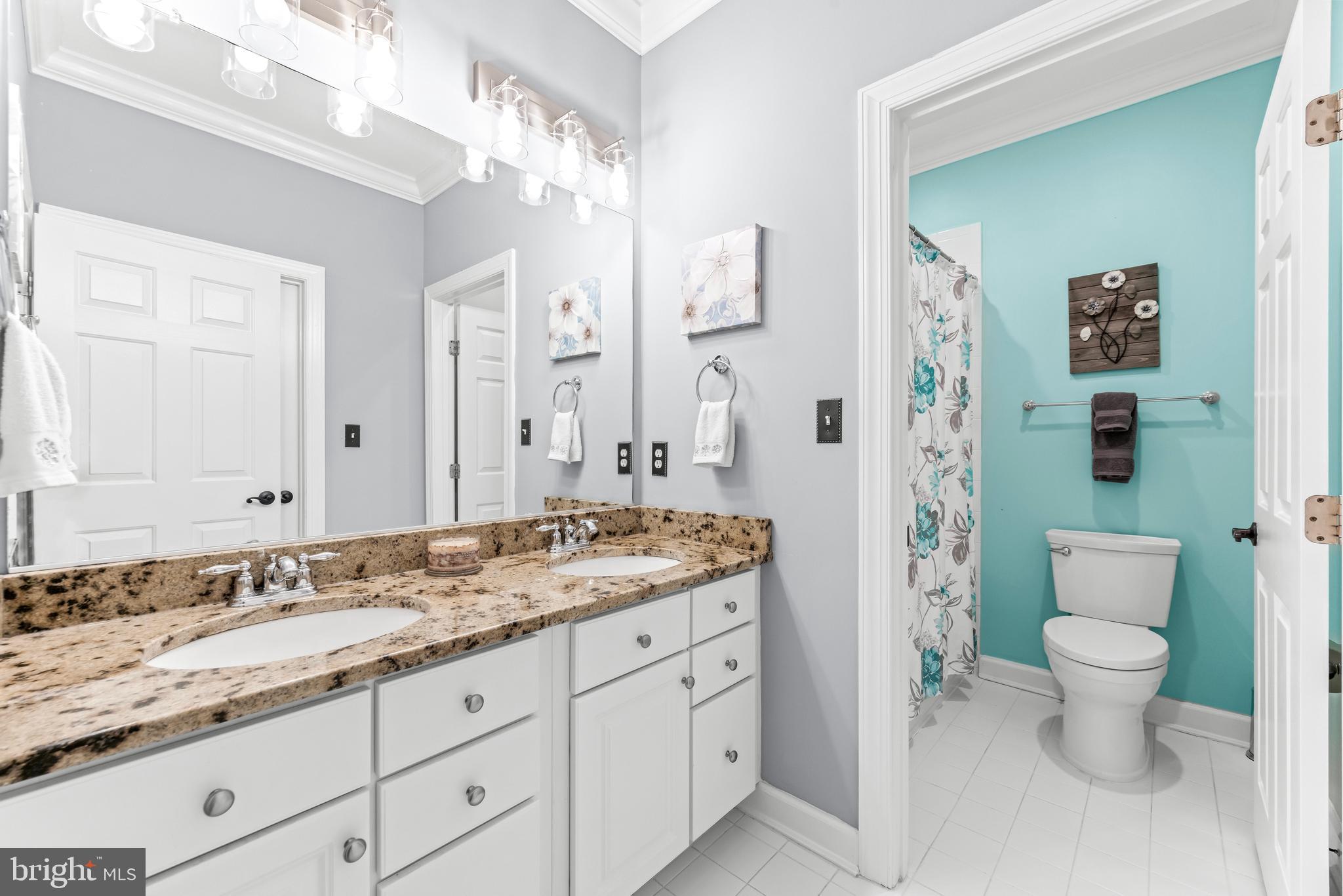 1703 Lake Forest Drive Finksburg, MD 21048 - Photo 45 of 82 a bathroom with a granite countertop sink toilet and shower