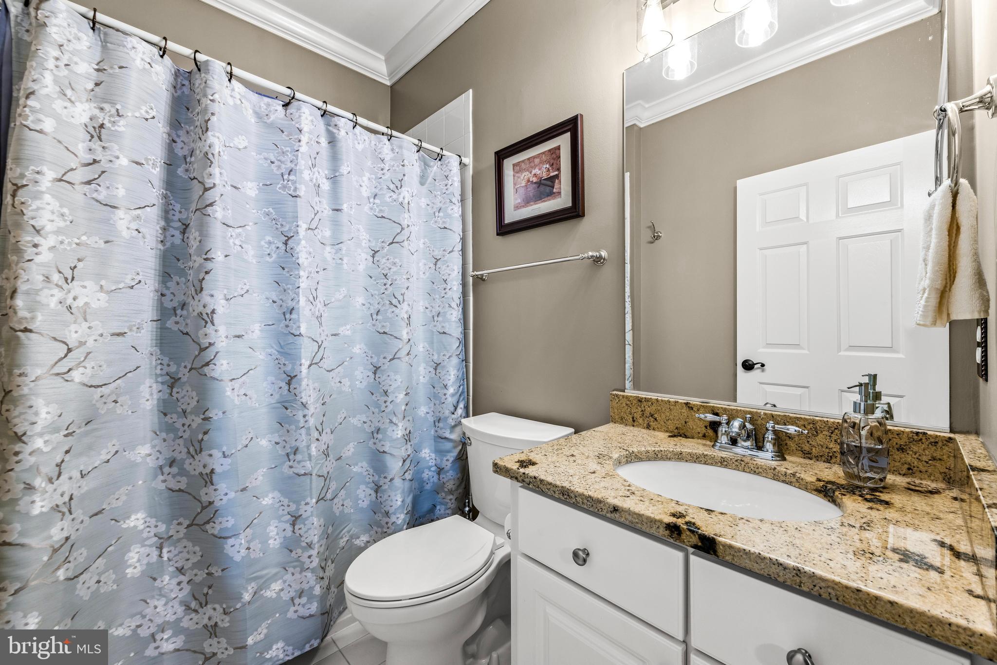 1703 Lake Forest Drive Finksburg, MD 21048 - Photo 49 of 82 a bathroom with a granite countertop sink toilet and a mirror