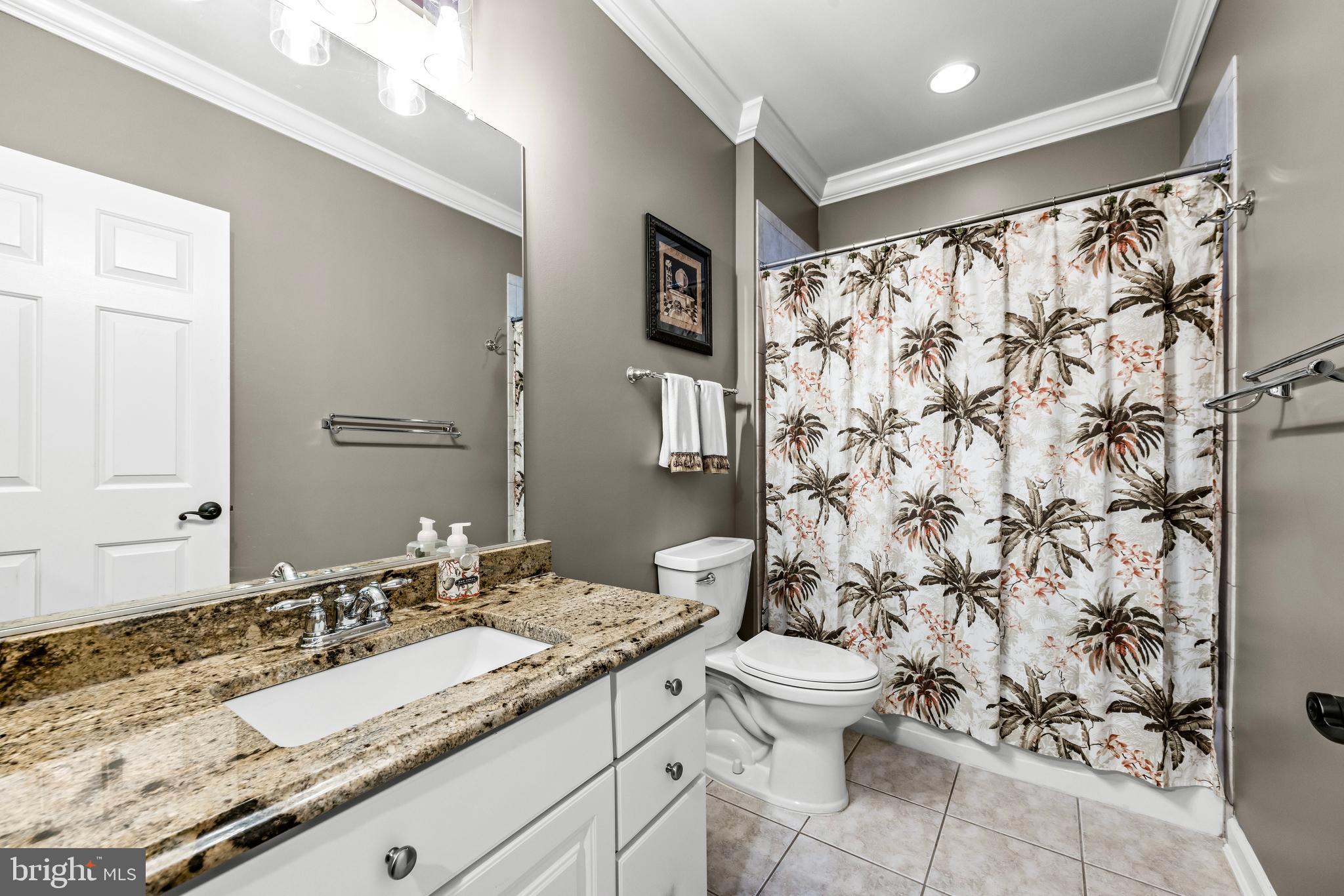 1703 Lake Forest Drive Finksburg, MD 21048 - Photo 63 of 82 a bathroom with a granite countertop sink toilet and shower
