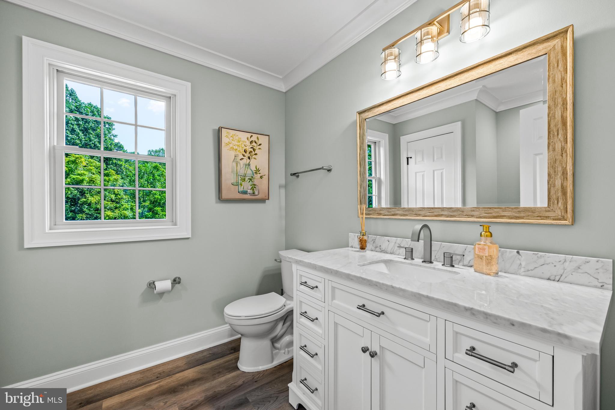 1703 Lake Forest Drive Finksburg, MD 21048 - Photo 68 of 82 a bathroom with a toilet sink and mirror