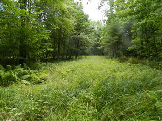 816 Tripptown Road Hiram, ME 04041 - Photo 69 of 73 DSCN4303