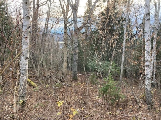 52 Burns Road Pittsburg, NH 03592 - Photo 3 of 7