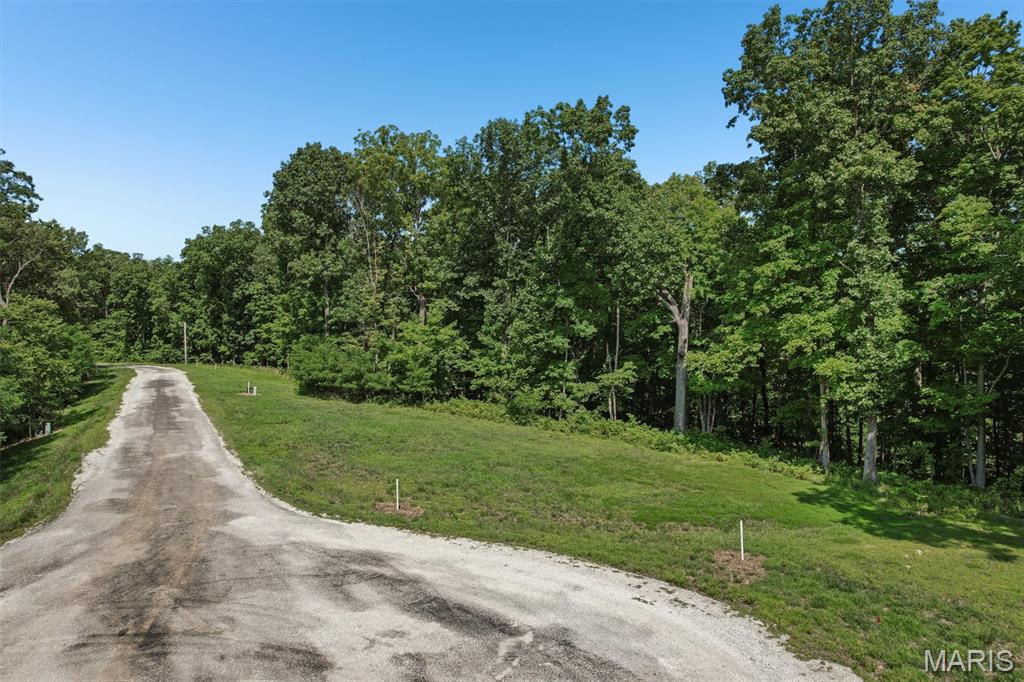 36 Timber Ridge Drive Litchfield, IL 62056 - Photo 5 of 9