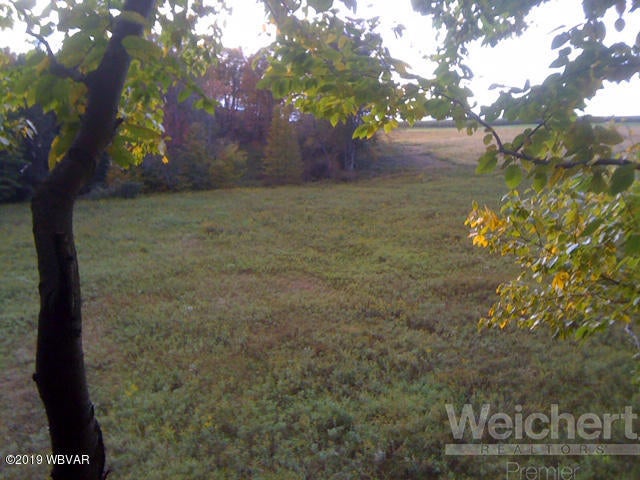 11280 Ellenton Mountain Road Shunk, PA 17768 - Photo 60 of 61 Land