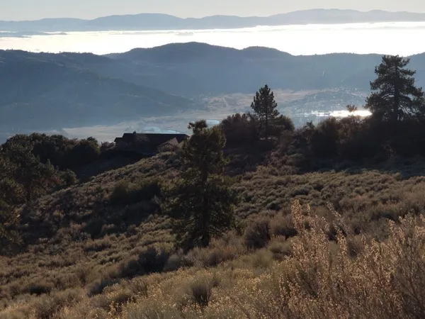 a view of a dry field with trees in the background