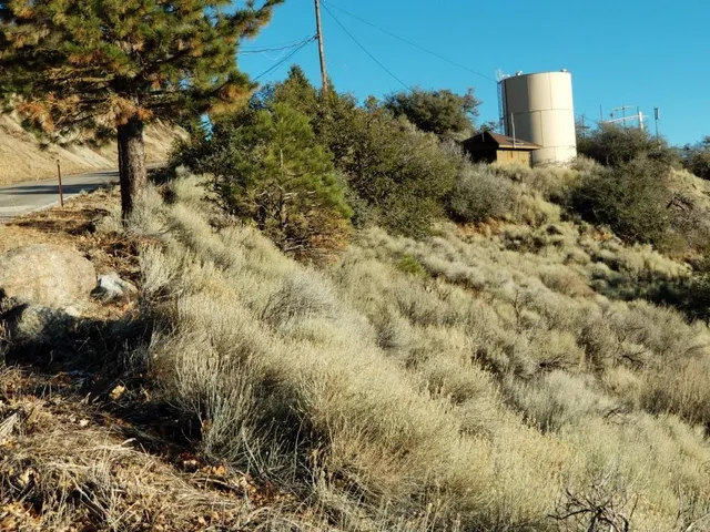 a view of outdoor space and mountain view