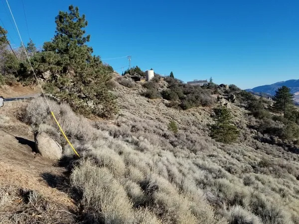 a view of a houses of a field