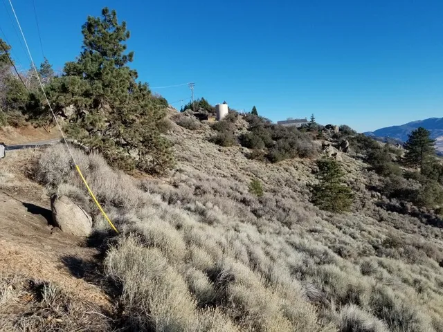 a view of a houses of a field