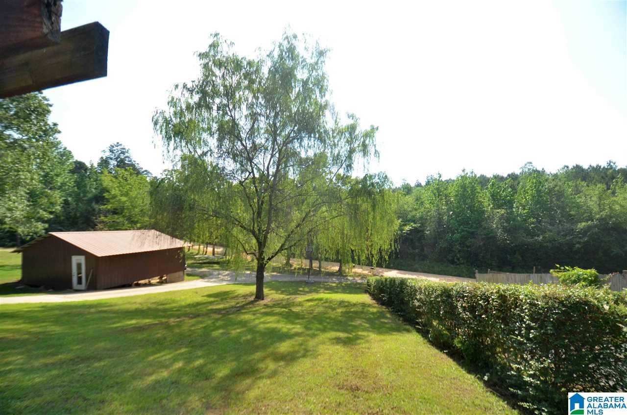 341 County Road 192 Clanton, AL 35046 - Photo 42 of 48