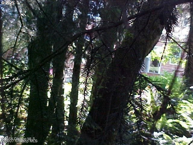 Birch Street Cannon Beach, OR 97110 - Photo 13 of 17 a picture of tree