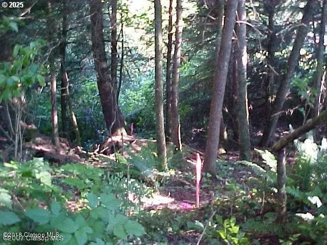 a view of a fire pit in middle of the forest