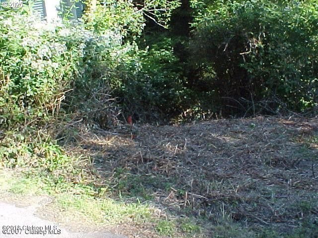 Birch Street Cannon Beach, OR 97110 - Photo 3 of 17 a view of a forest that has a tree