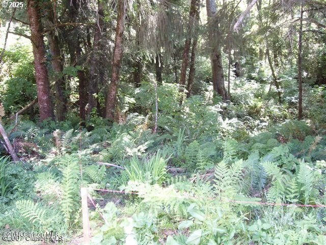 Birch Street Cannon Beach, OR 97110 - Photo 4 of 17 a view of a yard with plants and trees